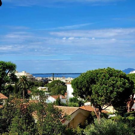 Grand Studio Localisation Ideale Antibes Eksteriør bilde